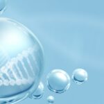 stem-cell-health-and-beauty