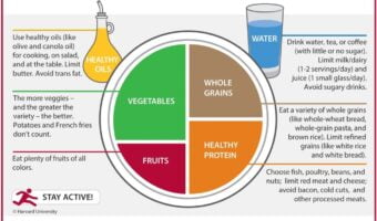 healthy-eating-plate