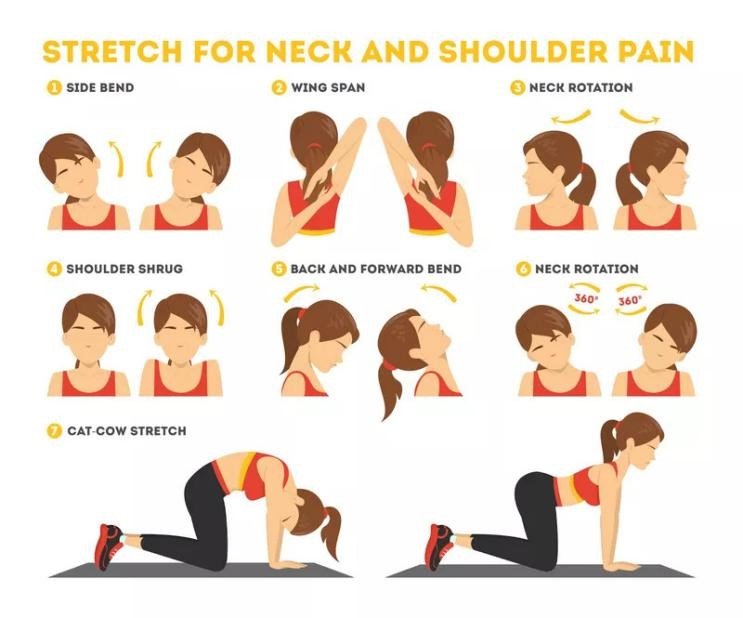 stretch for neck