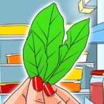 laissez-3-feuilles-de-laurier-au-refrigerateur-le-soir-final-1200x628-7482069-6075357-jpg