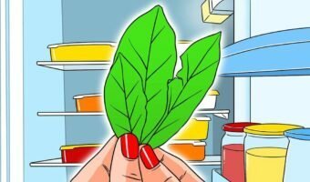 laissez-3-feuilles-de-laurier-au-refrigerateur-le-soir-final-1200x628-7482069-6075357-jpg