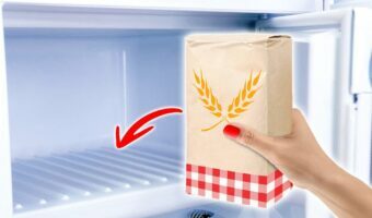 pourquoi-mettre-de-la-farine-au-congelateur-final-1-1200x628-5815155-1231546-jpg