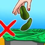 ne-plus-jetez-les-pelures-davocat-a-la-poubelle-final-1200x628-5593789-5934535-jpg