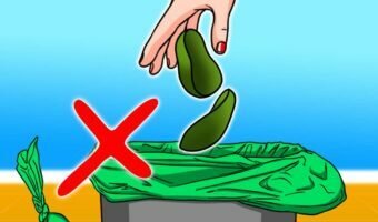 ne-plus-jetez-les-pelures-davocat-a-la-poubelle-final-1200x628-5593789-5934535-jpg