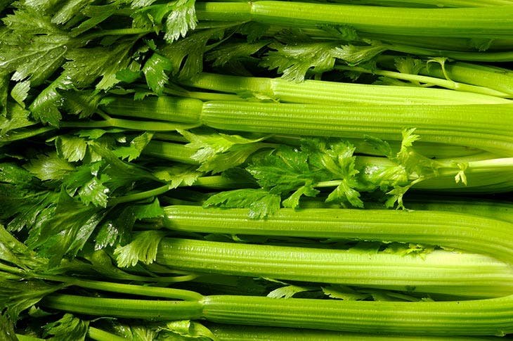 How to turn stale bread into fresh, crispy bread with a simple trick? 5 Celery stalk