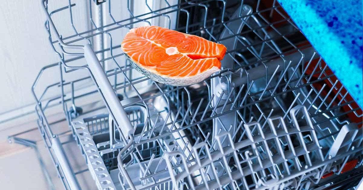 Cooking salmon in the dishwasher 2 final