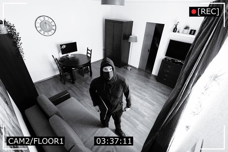 Burglars at home