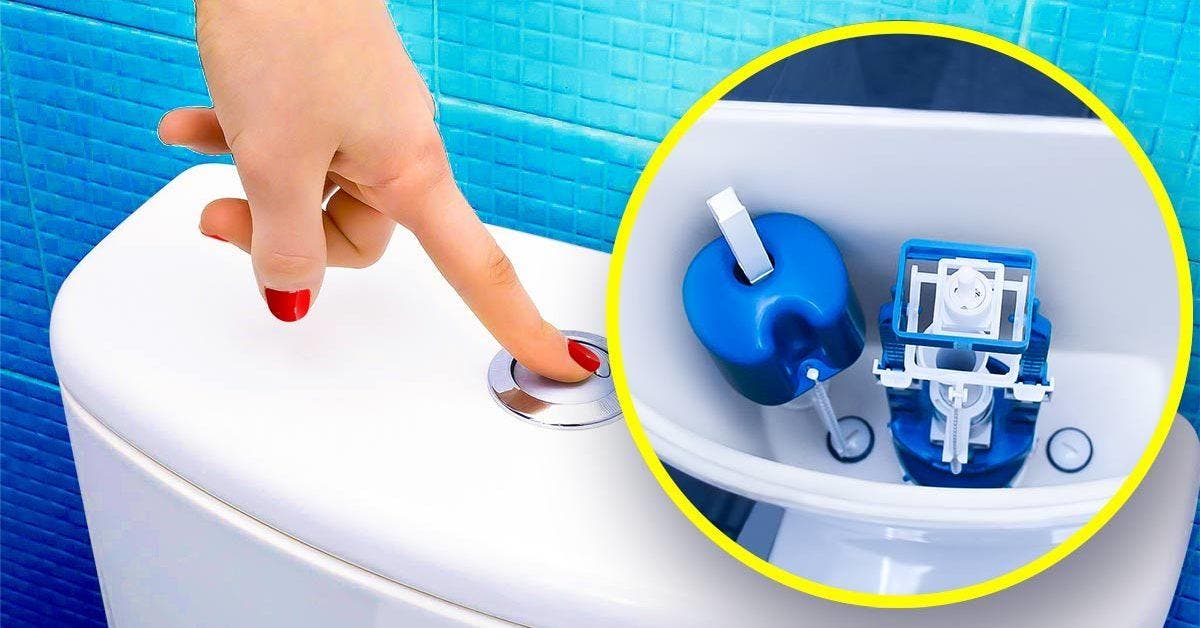 By flushing the toilet like this, you can save up to 30% of final water