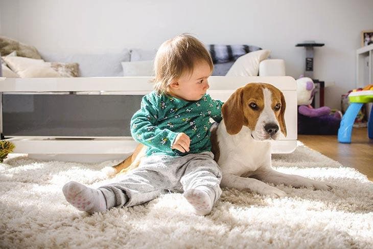 A baby plays with a dog
