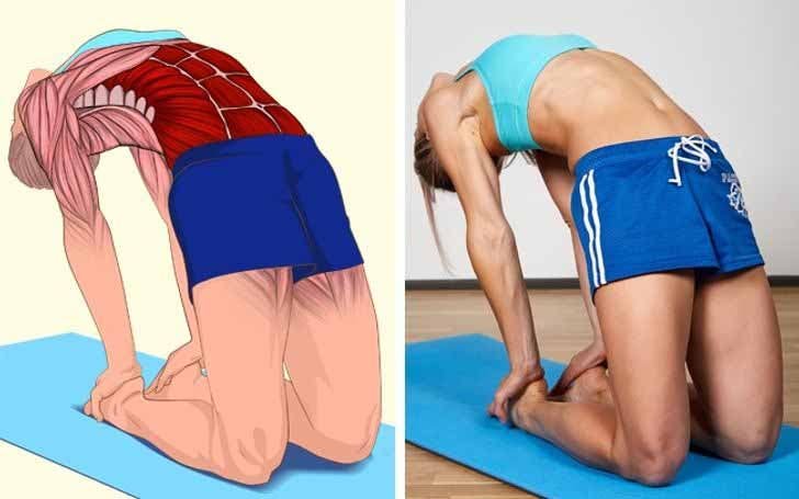 The Camel Pose The Camel Pose