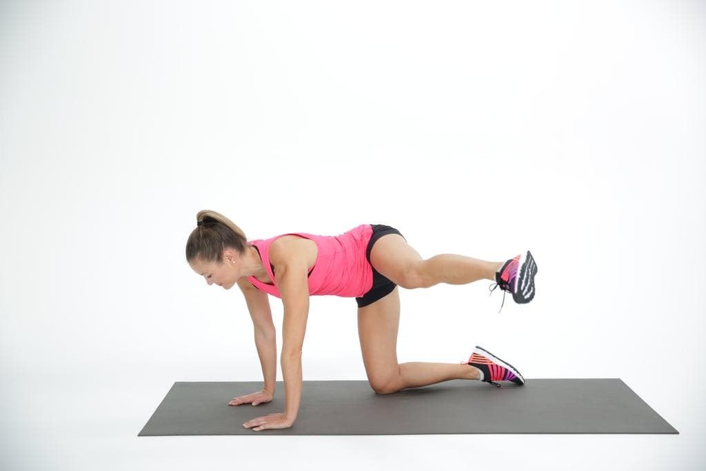 Leg Extension Leg Extension